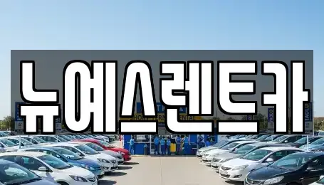 대구 중구 시장북로 렌트카 전문 뉴예스렌트카