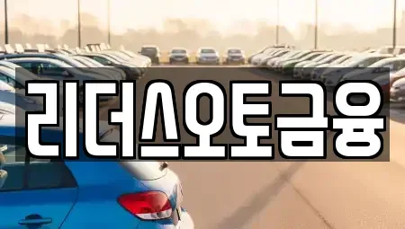 대구광역시 서구 내당동 장기렌트카 전문 리더스오토금융