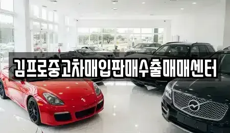 대구광역시 서구 평리동 중고차매입 전문 김프로중고차매입판매수출매매센터