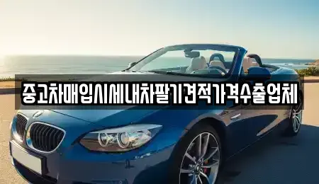 대구광역시 서구 평리동 중고차매입 전문 중고차매입시세내차팔기견적가격수출업체