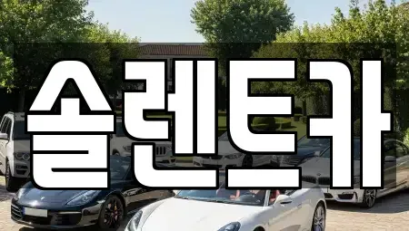 대구광역시 중구 장기렌트카 전문 솔렌트카