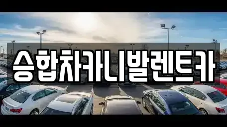 대전광역시 유성구 추목동 렌트카 전문 승합차카니발렌트카