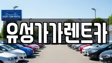 대전광역시 유성구 추목동 렌트카 전문 유성가가렌트카