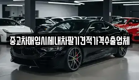 대전광역시 유성구 추목동 중고차매입 전문 중고차매입시세내차팔기견적가격수출업체
