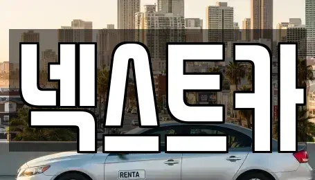 부산 강서구 대저2동 장기렌트카 전문 넥스트카