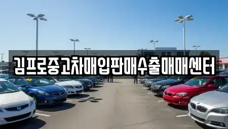 부산광역시 서구 부민동1가 중고차매입 전문 김프로중고차매입판매수출매매센터