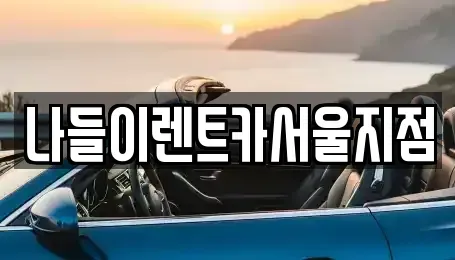 서울 성북구 보문동7가 렌트카 전문 나들이렌트카서울지점