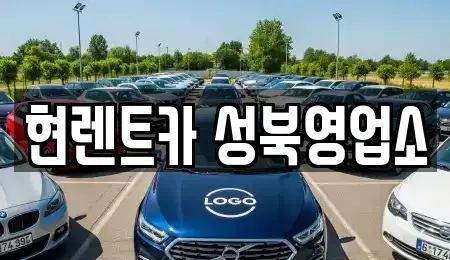 서울 성북구 보문동7가 렌트카 전문 현렌트카 성북영업소