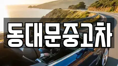 서울 성북구 보문동7가 중고차 전문 동대문중고차