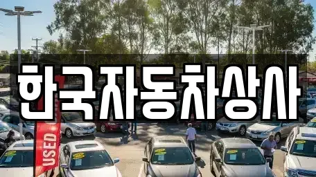 서울 성북구 보문동7가 중고차 전문 한국자동차상사