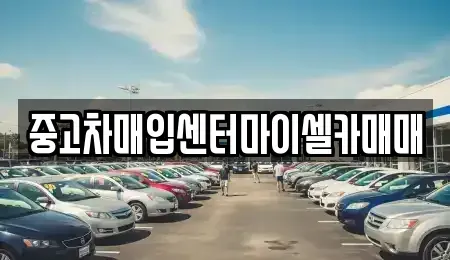 서울 성북구 보문동7가 중고차매입 전문 중고차매입센터마이셀카매매