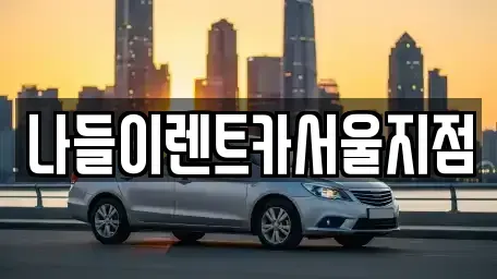 서울 성북구 안암동2가 렌트카 전문 나들이렌트카서울지점