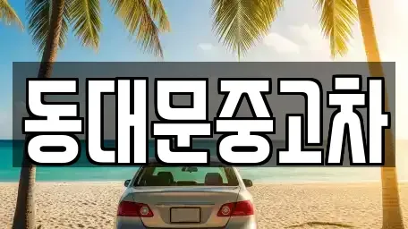 서울 성북구 안암동2가 중고차매매 전문 동대문중고차