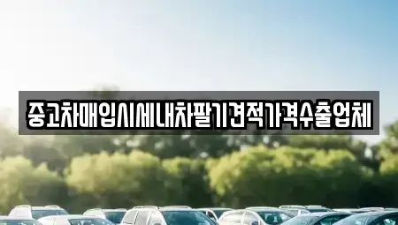서울 성북구 안암동2가 중고차매입 전문 중고차매입시세내차팔기견적가격수출업체