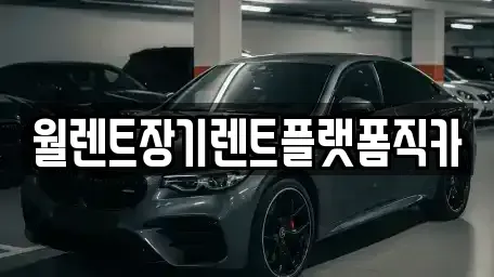 서울 은평구 녹번동 장기렌트카 전문 월렌트장기렌트플랫폼직카