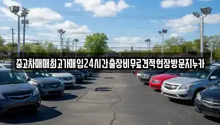 서울 은평구 녹번동 중고차매입 전문 중고차매매최고가매입24시간출장비무료견적현장방문지누카