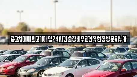 서울 종로구 무악동 중고차 전문 중고차매매최고가매입24시간출장비무료견적현장방문지누카