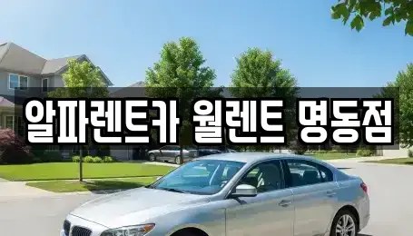 서울 중구 남산동1가 렌트카 전문 알파렌트카 월렌트 명동점
