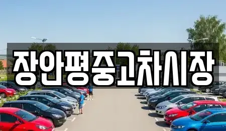 서울 중구 남산동1가 중고차 전문 장안평중고차시장