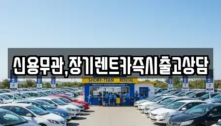 서울특별시 동작구 동작동 장기렌트카 전문 신용무관,장기렌트카즉시출고상담