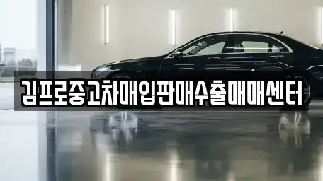 서울특별시 동작구 동작동 중고차 전문 김프로중고차매입판매수출매매센터