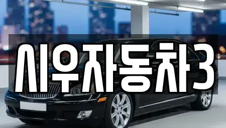 서울특별시 동작구 동작동 중고차 전문 시우자동차3