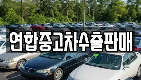 서울특별시 동작구 동작동 중고차 전문 연합중고차수출판매