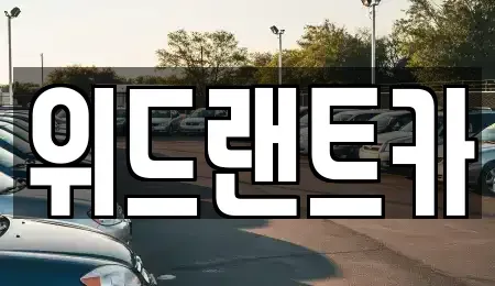 서울특별시 서초구 염곡동 단기렌트카 전문 위드랜트카
