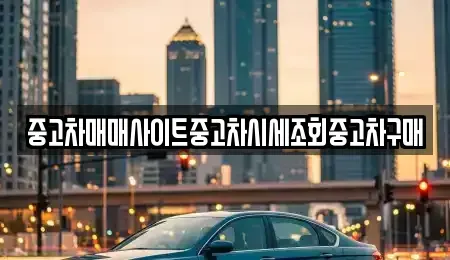 서울특별시 서초구 염곡동 중고차매매 전문 중고차매매사이트중고차시세조회중고차구매