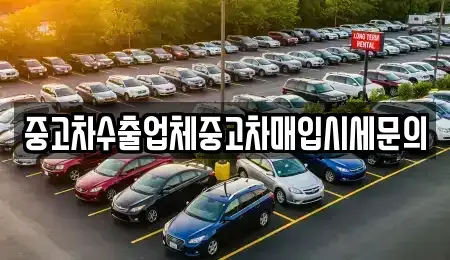 서울특별시 서초구 염곡동 중고차매입 전문 중고차수출업체중고차매입시세문의