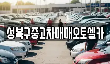 서울특별시 성북구 보문동2가 중고차 전문 성북구중고차매매오토셀카