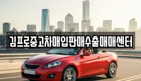 서울특별시 영등포구 대림동 중고차 전문 김프로중고차매입판매수출매매센터
