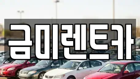 서울특별시 종로구 팔판동 렌트카 전문 금미렌트카