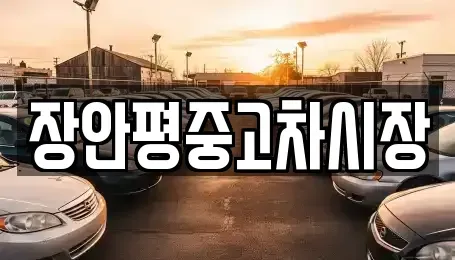 서울특별시 종로구 팔판동 중고차 전문 장안평중고차시장