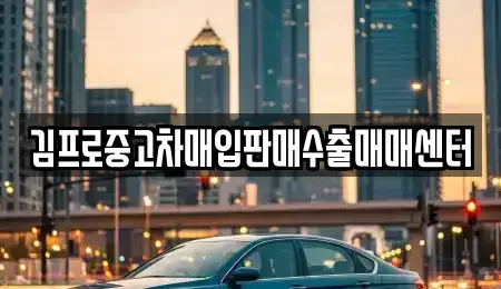 서울특별시 종로구 팔판동 중고차매입 전문 김프로중고차매입판매수출매매센터