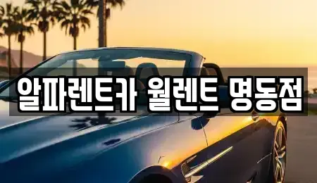 서울특별시 중구 삼각동 렌트카 전문 알파렌트카 월렌트 명동점