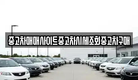 서울특별시 중구 삼각동 중고차매매 전문 중고차매매사이트중고차시세조회중고차구매