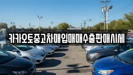 서울특별시 중구 삼각동 중고차매입 전문 카카오토중고차매입매매수출판매시세