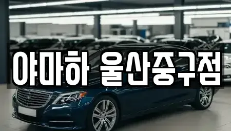 울산 중구 반구동 렌트카 전문 야마하 울산중구점