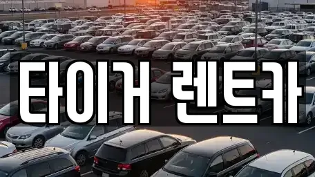 울산 중구 반구동 렌트카 전문 타이거 렌트카