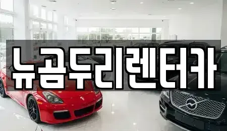 울산 중구 반구동 장기렌트카 전문 뉴곰두리렌터카