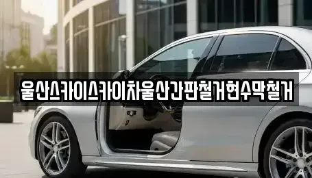 울산광역시 남구 부곡동 중고차매매,단기렌트카,중고차매입,장기렌트카,중고차,렌트카