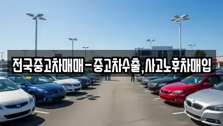 인천 중구 내동 중고차 전문 전국중고차매매-중고차수출,사고노후차매입