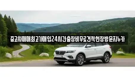 인천광역시 계양구 병방동 중고차 전문 중고차매매최고가매입24시간출장비무료견적현장방문지누카