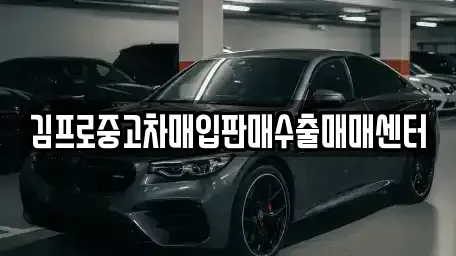 전남 목포시 연산동 중고차매입 전문 김프로중고차매입판매수출매매센터
