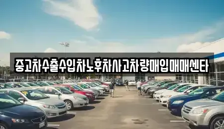 전남 보성군 노동면 중고차매입 전문 중고차수출수입차노후차사고차량매입매매센타