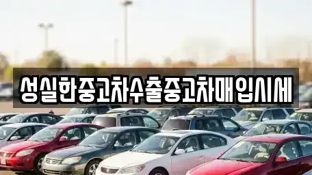 전북 전주시 완산구 서서학동 중고차 전문 성실한중고차수출중고차매입시세