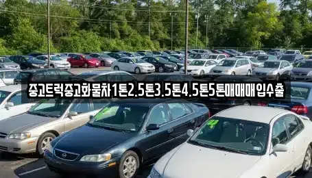 전북 전주시 완산구 서서학동 중고차 전문 중고트럭중고화물차1톤2.5톤3.5톤4.5톤5톤매매매입수출