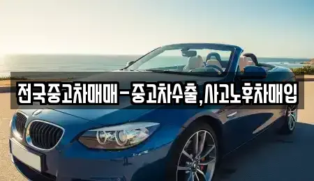 전북 전주시 완산구 중화산동2가 중고차 전문 전국중고차매매-중고차수출,사고노후차매입