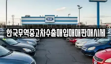전북 전주시 완산구 중화산동2가 중고차매입 전문 한국무역중고차수출매입매매판매시세